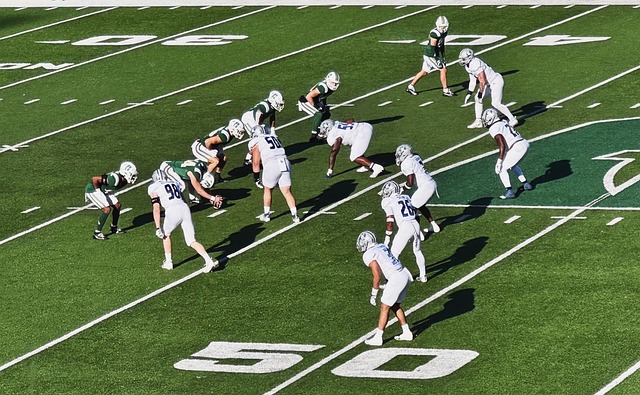 足球领域的 足球领域的