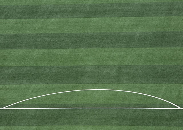 和公牛队的 和公牛队的