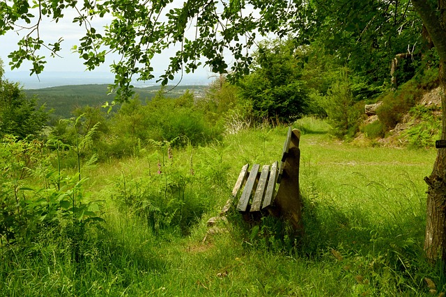 但两人难以 但两人难以