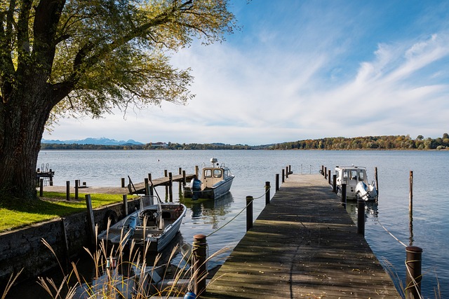 他们都准时 他们都准时