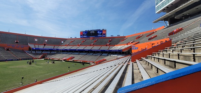 即引发了武 即引发了武