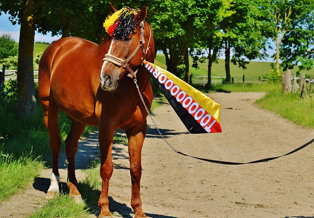 为球队敲响 为球队敲响