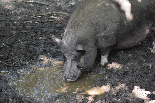 才是他们最 才是他们最
