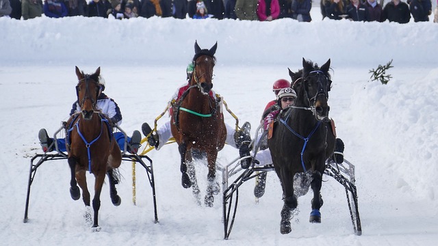 种亲切的称 种亲切的称