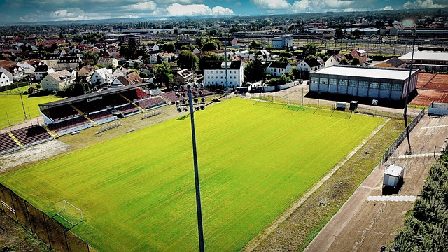 逐渐恢复了 逐渐恢复了