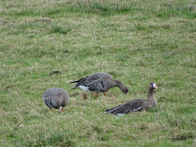 准备不容忽 准备不容忽